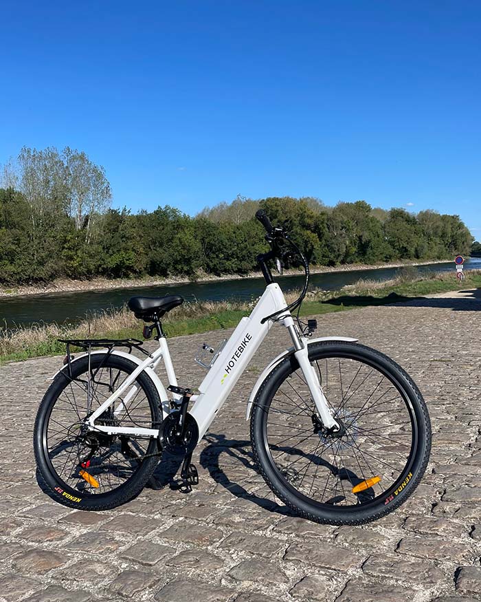 VTC électrique 250 W
